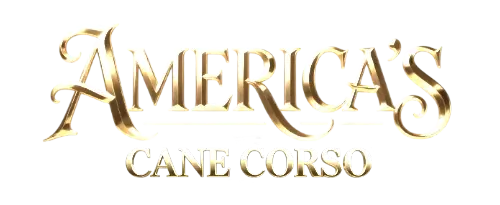 Training your cane Corso puppy